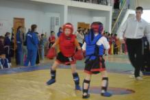 Resize of DSC08319.JPG